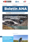 Vista preliminar de documento Boletín ANA 011  -25 links