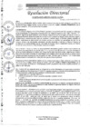 Vista preliminar de documento R.D. Nº0075-2025-DIRESA-OGESS-HC