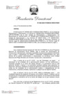Vista preliminar de documento RD