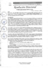 Vista preliminar de documento R.D. Nº0077-2025-DIRESA-OGESS-HC