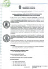 Vista preliminar de documento AU- SO N° 005-2024 - I