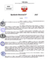 Vista preliminar de documento Resolucion Directoral N° 002991-2025