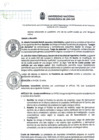 Vista preliminar de documento AU- SO N° 007-2024 - II