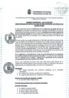 Vista preliminar de documento AU- SO N° 009-2024