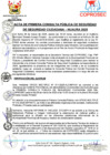 Vista preliminar de documento PRIMERA CONSULTA PÚBLICA 2025