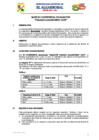 Vista preliminar de documento BASES DEL EVENTO 3era Maraton Chasqui Algarrobino 2025