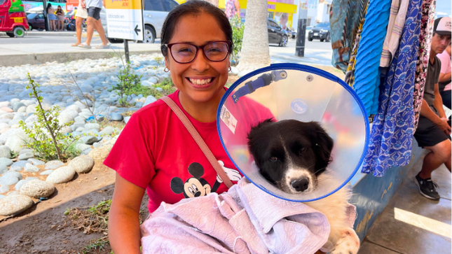 Más de 40 perros y gatos fueron atendidos gracias al trabajo conjunto entre la Municipalidad y organizaciones animalistas.