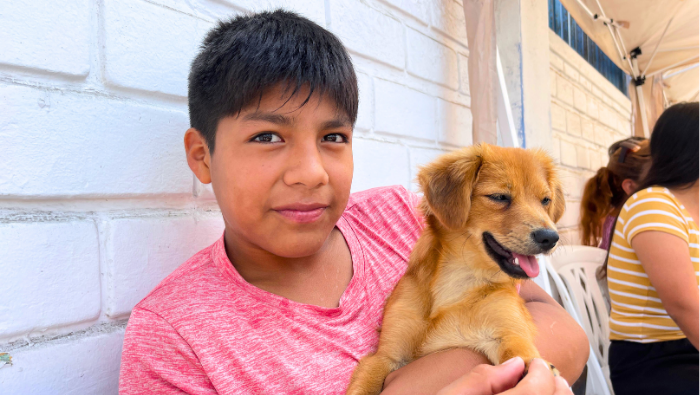 Más de 40 perros y gatos fueron atendidos gracias al trabajo conjunto entre la Municipalidad y organizaciones animalistas.