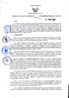 Vista preliminar de documento 3093358693872535575