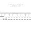 Vista preliminar de documento Saldo de balance 2023