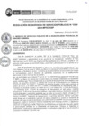 Vista preliminar de documento RGSP300-2024
