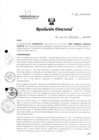 Vista preliminar de documento R.D. 907-2024