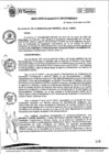 Vista preliminar de documento RA005-2020