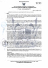 Vista preliminar de documento RGM-142-2025