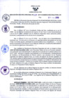 Vista preliminar de documento -2211488367685414037