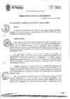 Vista preliminar de documento RA169-2020