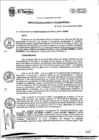 Vista preliminar de documento RA208-2020