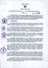 Vista preliminar de documento 686221607251553342