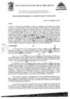 Vista preliminar de documento ROG-161-2024