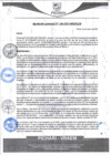 Vista preliminar de documento rgm100