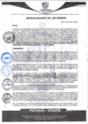 Vista preliminar de documento rgm98