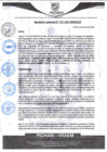 Vista preliminar de documento rgm103