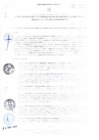 Vista preliminar de documento RGDUR-137-2025-MPHH