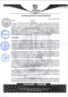 Vista preliminar de documento rgm109
