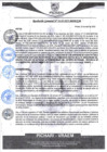 Vista preliminar de documento rgm110