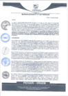 Vista preliminar de documento rgm117