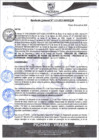 Vista preliminar de documento rgm113