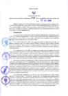Vista preliminar de documento -1208144899193098354