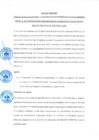 Vista preliminar de documento ACTA N° 008-2025