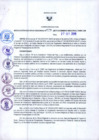 Vista preliminar de documento -289030650279818604