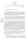 Vista preliminar de documento GGR. 133