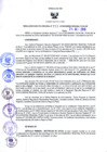 Vista preliminar de documento 3231406096013308334