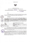 Vista preliminar de documento RDR N°313-2025-05-05-2025