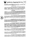 Vista preliminar de documento rgr-595-2024-gore-ica-grds
