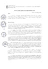 Vista preliminar de documento RESOLUCION GERENCIAL Nº039-2025-MPA-GM