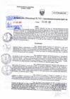 Vista preliminar de documento RD 0063