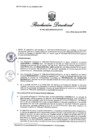Vista preliminar de documento RD 801-2025-PRODUCE-DS-PA