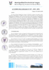 Vista preliminar de documento ACC0037-2025