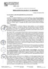 Vista preliminar de documento RA25N161