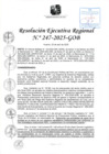 Vista preliminar de documento RER 247-2025-GOB