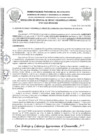 Vista preliminar de documento RESOLUCION GODU N°037-2025 - RECTIFICACIÓN -