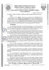 Vista preliminar de documento RESOLUCION GODU N°38-2025