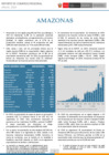Vista preliminar de documento RCR Amazonas - Anual 2024
