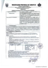 Vista preliminar de documento TDR Nº1393