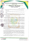 Vista preliminar de documento Ordenanza 4