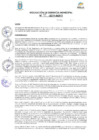 Vista preliminar de documento Resolución N° 91-2019-GM-MDP-T